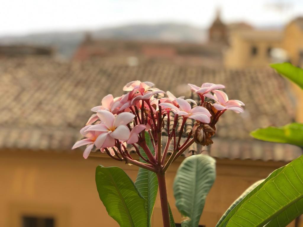 Terrazze Di Montelusa Agrigento Bagian luar foto