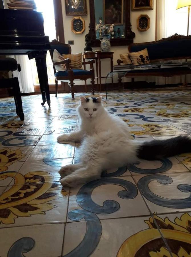 Terrazze Di Montelusa Agrigento Bagian luar foto